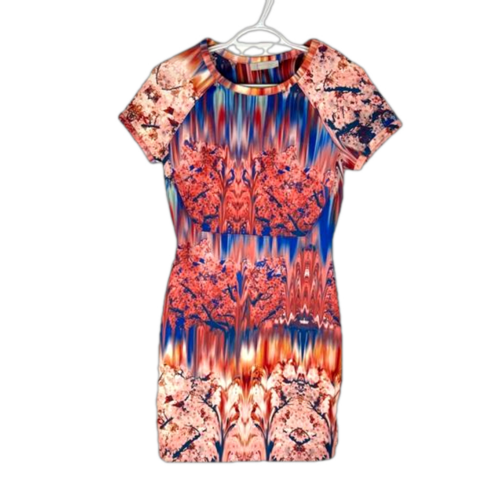 Zara pink and blue floral dress, NWT